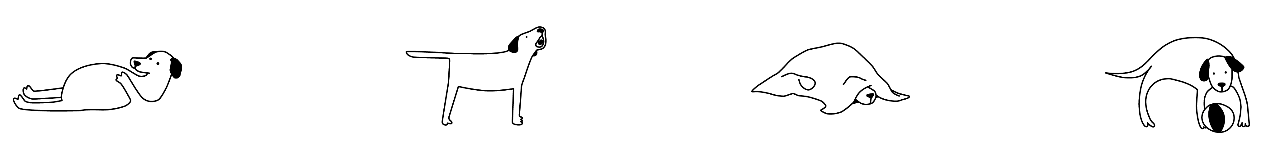 Hundepsychologie Sari 